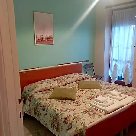 B&B 